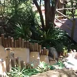 Bangalo Da Mata